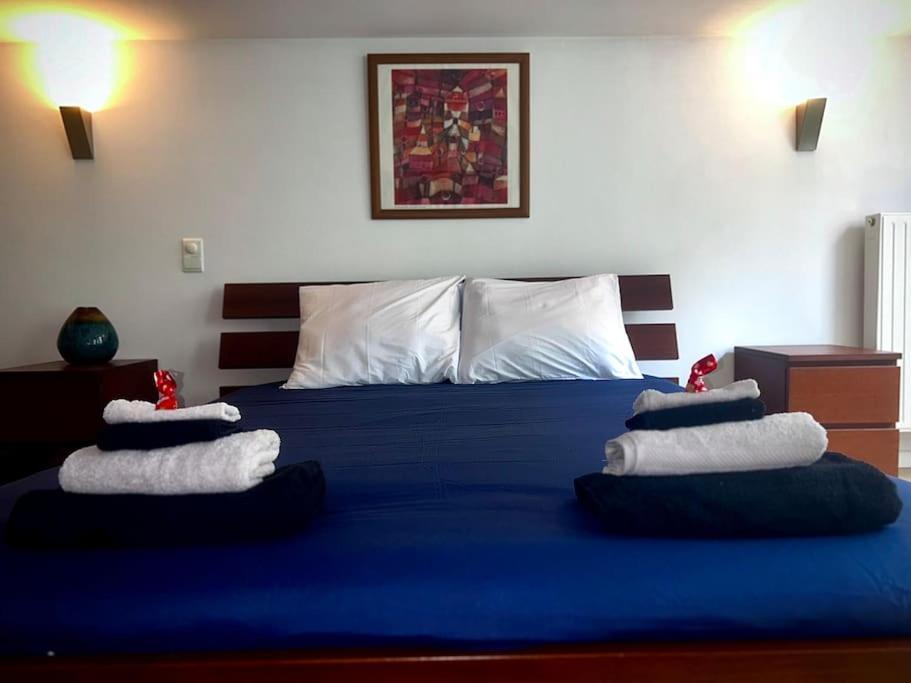 Down Town Spacious Duplex With Private Parking & Game Room Bruksela Zewnętrze zdjęcie